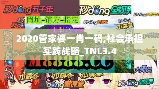 2020管家婆一肖一码,社会承担实践战略_TNL3.4