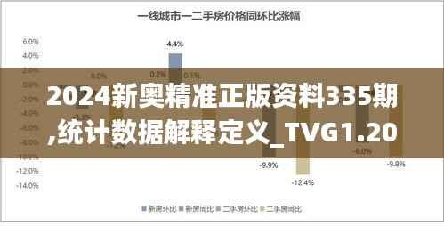 2024新奥精准正版资料335期,统计数据解释定义_TVG1.20