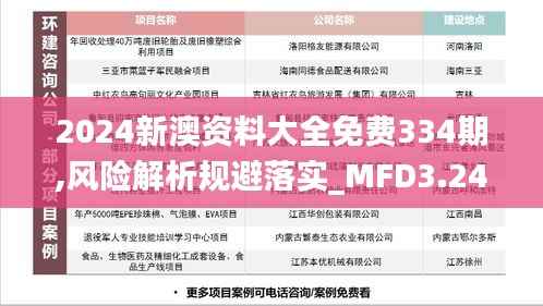 2024新澳资料大全免费334期,风险解析规避落实_MFD3.24