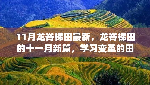 yizhibanxie 第14页