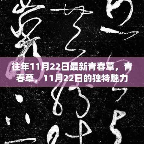 往年11月22日最新青春草,青春草,11月22日的独特魅力与争议反思