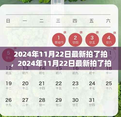 探索数字时代全新互动营销方式,最新拍拍活动在2024年11月22日揭晓