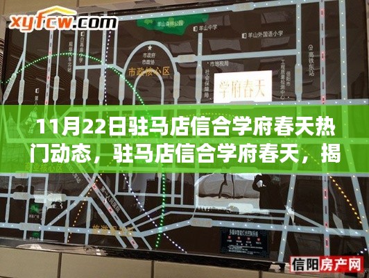 揭秘驻马店信合学府春天十一月二十二日的热门动态内幕