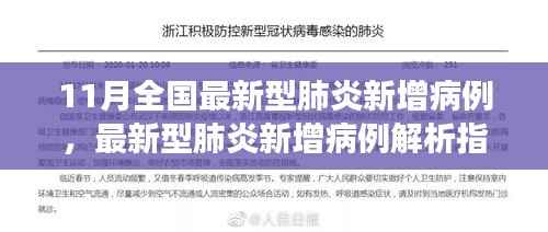 11月全国最新型肺炎新增病例,最新型肺炎新增病例解析指南,11月版,适合初学者与进阶用户阅读