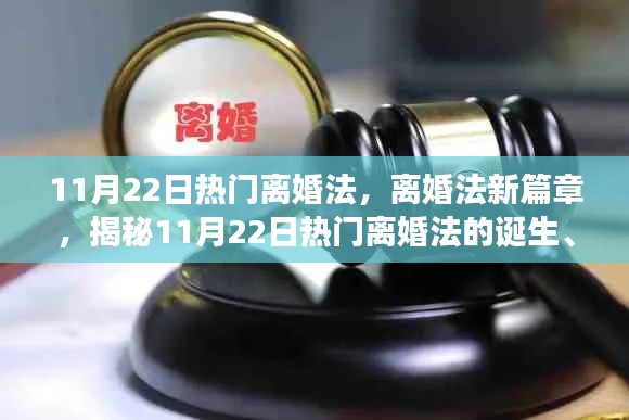 揭秘,热门离婚法诞生、发展与影响——聚焦11月22日新篇章