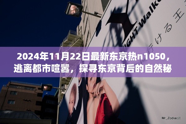 东京秘境探寻,逃离喧嚣的都市,启程心灵之旅的自然秘境探索之旅