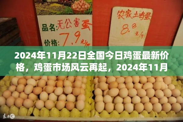 2024年11月22日全国鸡蛋最新价格深度解析,市场风云再起