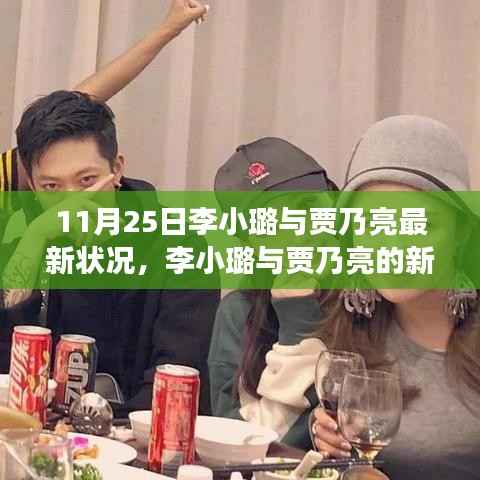 11月25日李小璐与贾乃亮最新状况,李小璐与贾乃亮的新篇章,变化中的力量与自信的旋律