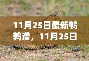 最新鹌鹑谱解读,鹌鹑养殖新指南