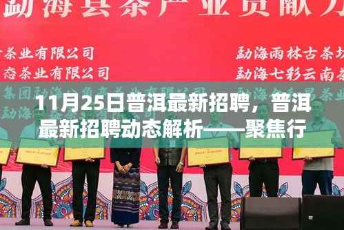 11月25日普洱最新招聘,普洱最新招聘动态解析——聚焦行业热点与人才需求