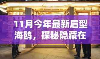 11月今年最新眉型海鸥,探秘隐藏在小巷中的特色小店,海鸥眉型馆,时尚眉型的秘密起源