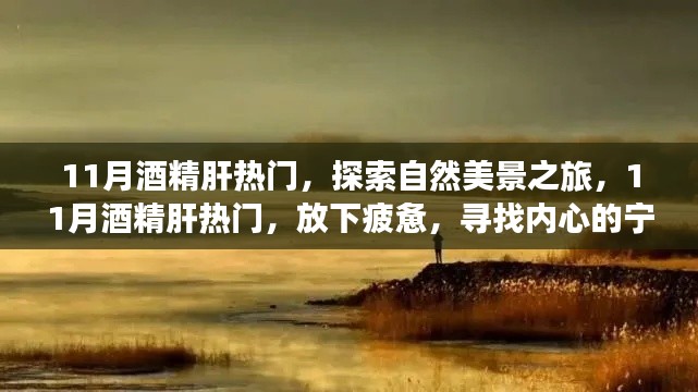 11月酒精肝热门,探索自然美景之旅,11月酒精肝热门,放下疲惫,寻找内心的宁静与平和