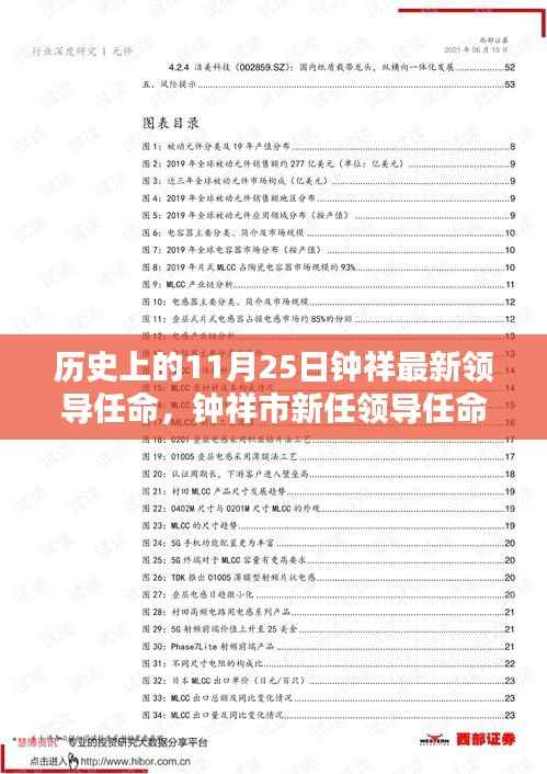 钟祥市新任领导深度解析,任命历程、特性、用户体验与目标群体分析