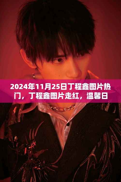 丁程鑫图片走红,温馨日常的欢乐时光(2024年11月25日)