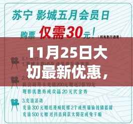 11月25日大切最新优惠,大切特惠盛典,揭秘十一月二十五日优惠背后的故事与影响