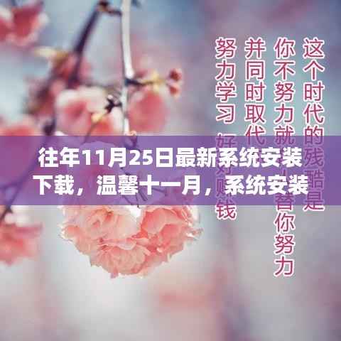 暖心故事,历年11月25日最新系统安装下载回顾