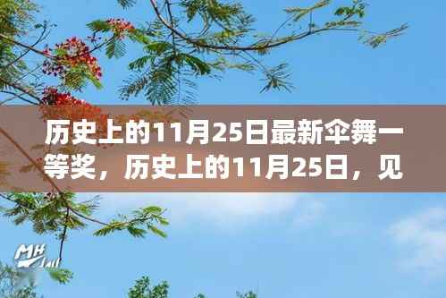 历史上的11月25日最新伞舞一等奖,历史上的11月25日,见证伞舞夺冠的辉煌时刻