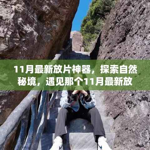 11月最新放片神器,探索自然秘境,遇见那个11月最新放片神器,重拾内心的宁静与平和