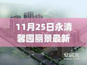 11月25日永清馨园丽景新动态,学习变化,自信成就未来,励志之花绽放