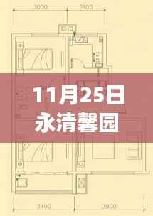 11月25日永清馨园丽景新动态,学习变化,自信成就未来,励志之花绽放
