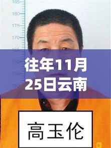 往年11月25日云南逃犯越狱最新消息,往年11月25日云南逃犯越狱事件最新进展