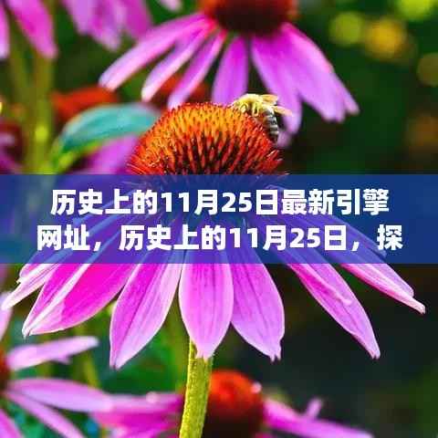 历史上的11月25日最新引擎网址,历史上的11月25日,探索自然美景之旅,启程寻找内心的平和绿洲
