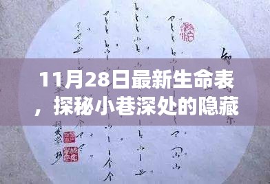 xingjirufei 第13页