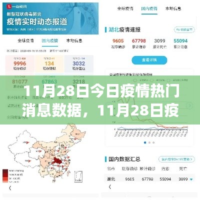 11月28日疫情最新动态与数据解读,共同关注防控进展