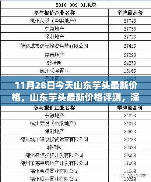 山东芋头最新价格解析,品质与性价比深度剖析(11月28日)