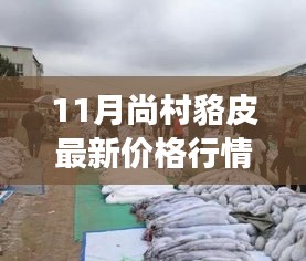 fuqibenshitong 第14页