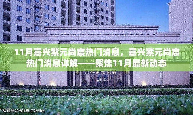 聚焦嘉兴紫元尚宸,11月最新动态详解