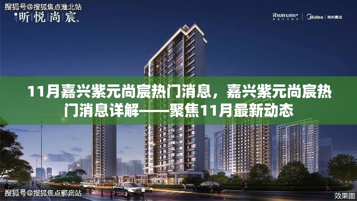 聚焦嘉兴紫元尚宸,11月最新动态详解