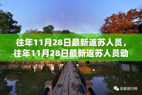 往年11月28日返苏人员动态,流动中的安全与有序管理新观察