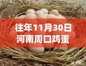 河南周口探秘之旅,鸡蛋价格背后的自然美景与心灵体验之旅(最新价格更新)