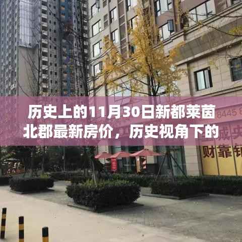 历史上的新都莱茵北郡房价波动,深度解读与观点阐述