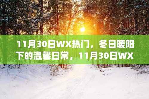 冬日暖阳下的温馨日常,11月30日WX热门小故事