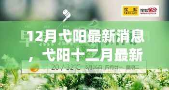 12月弋阳最新动态及城市发展三大焦点解析