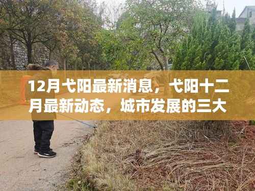 12月弋阳最新动态及城市发展三大焦点解析