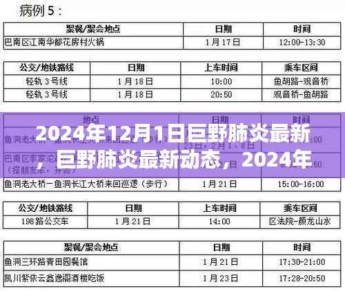 2024年12月1日巨野肺炎最新动态与深度解析