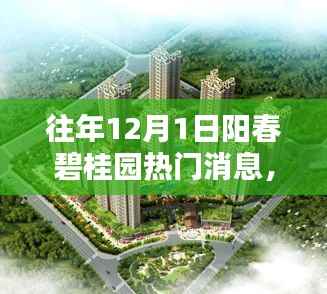 阳春碧桂园历年1月1日热门消息回顾