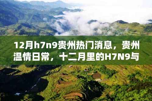 贵州温情日常,十二月里的H7N9与友情的温暖