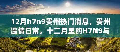 贵州温情日常,十二月里的H7N9与友情的温暖
