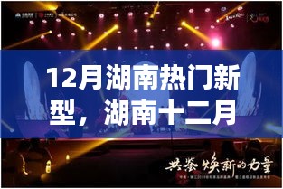 花开无言 第13页