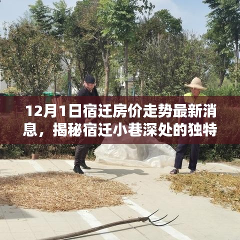 宿迁房价走势揭秘，小巷风情与老街特色小店最新消息播报
