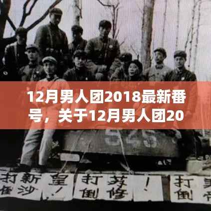 关于12月男人团2018最新番号的详细介绍与评测,揭示真相,警惕风险!