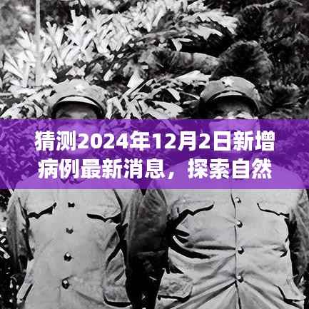 明日新增病例预测与探索自然美景之旅,心灵宁静的追寻