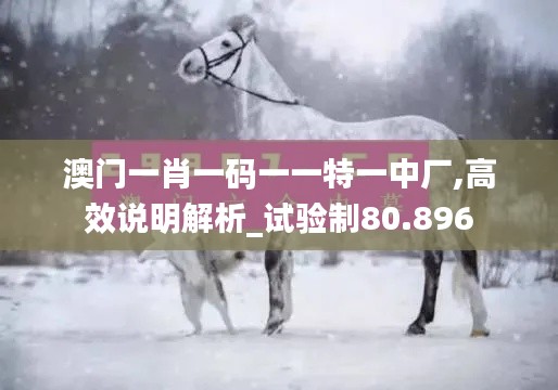 澳门一肖一码一一特一中厂,高效说明解析_试验制80.896