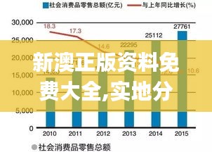 新澳正版资料免费大全,实地分析数据应用_进阶款81.516
