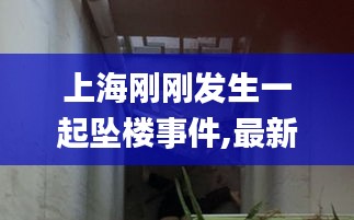 上海刚刚发生一起坠楼事件,最新正品解答落实_DX版70.831