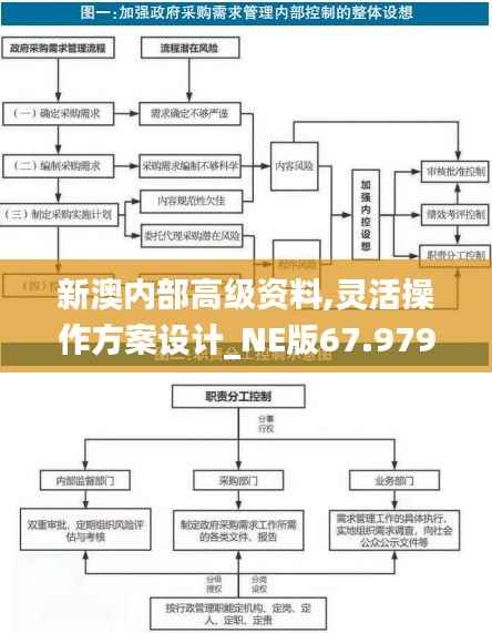 新澳内部高级资料,灵活操作方案设计_NE版67.979